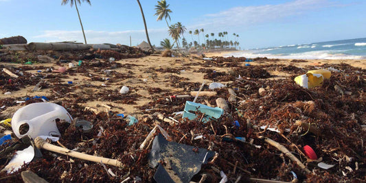 Where plastic pollution comes from