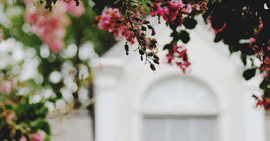 Why you should detox your home this spring
