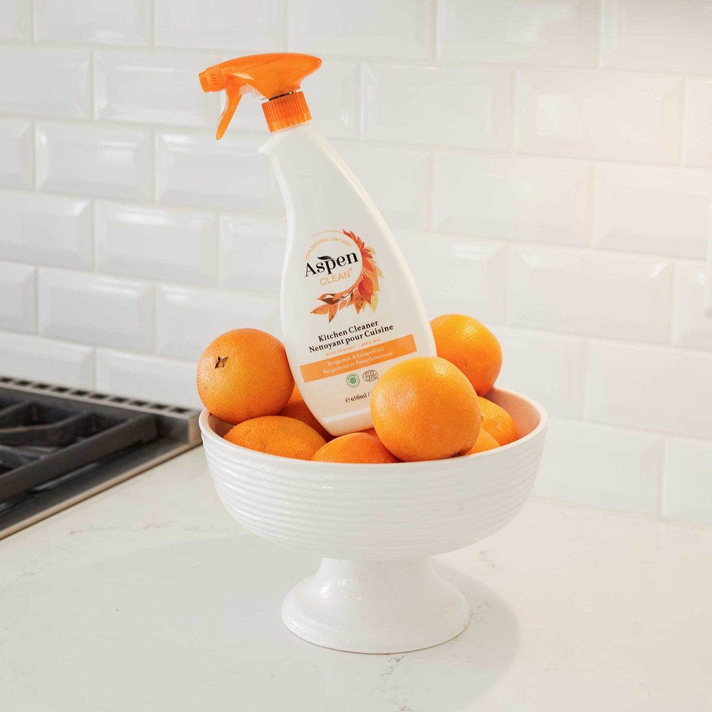 Kitchen Cleaner AspenClean features