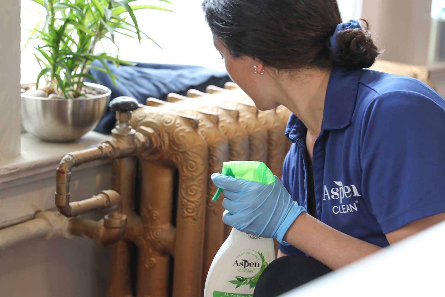 Move-out cleaning services by AspenClean