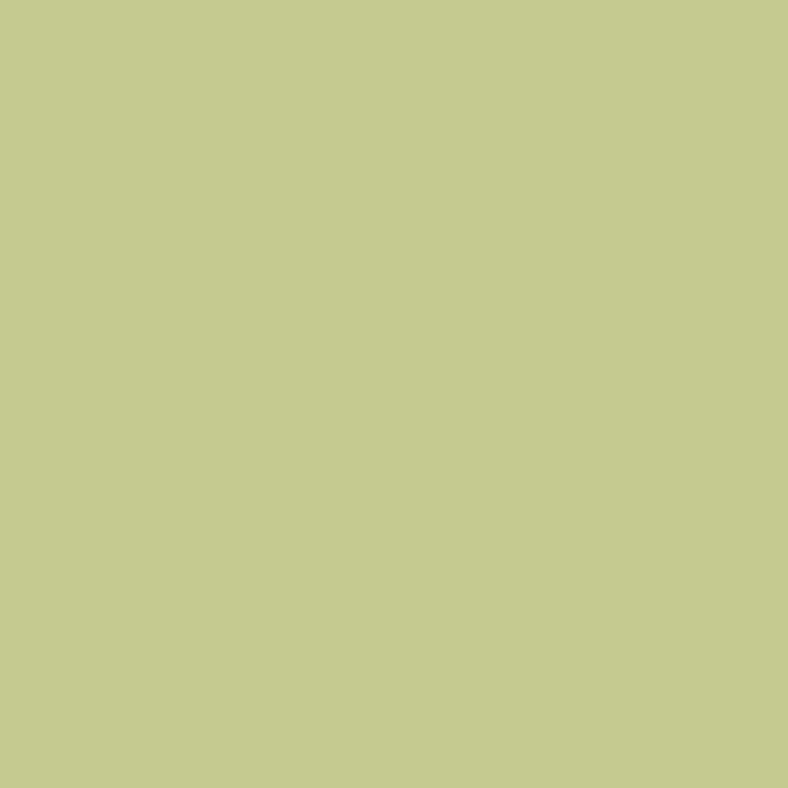 olive background AspenClean