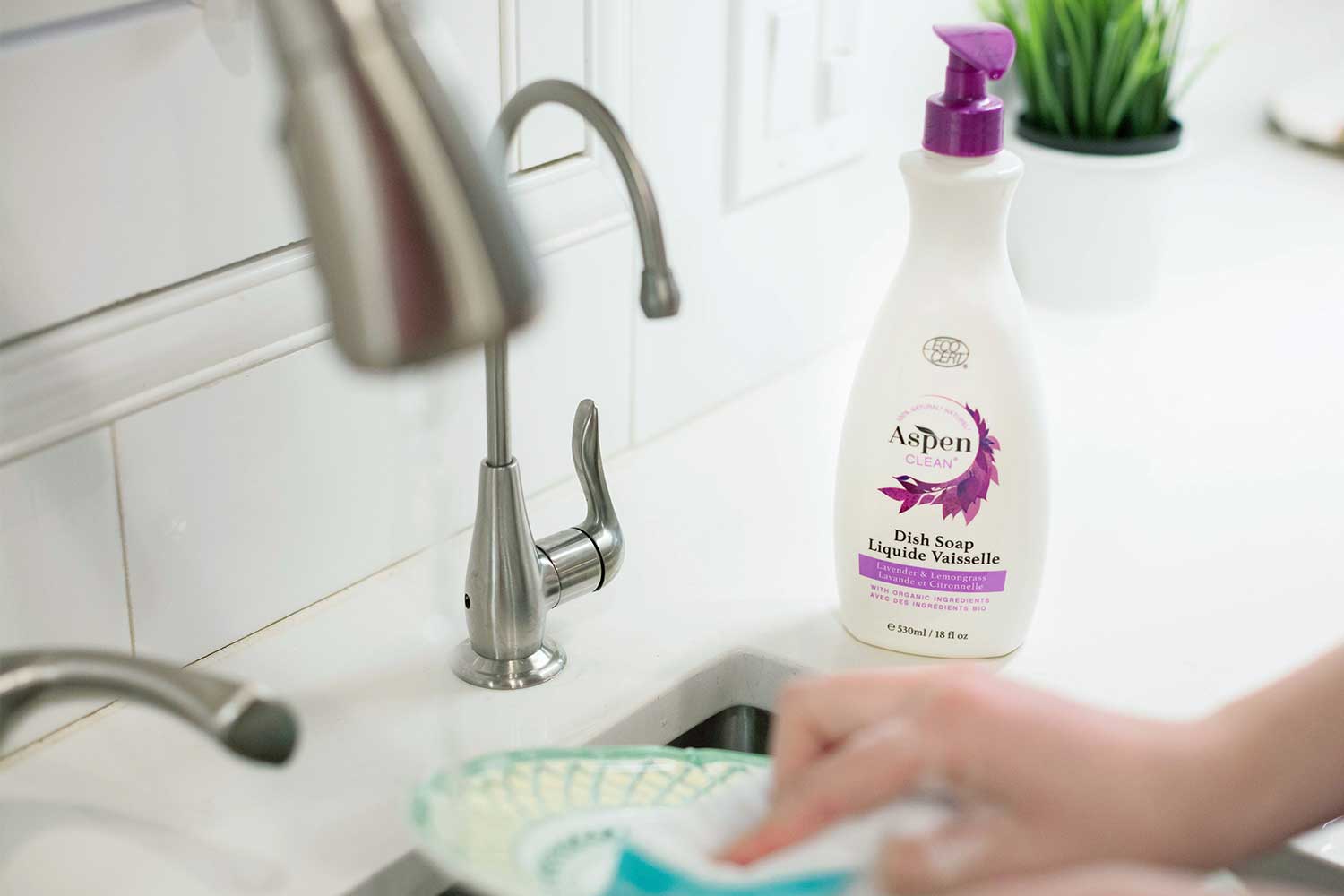 AspenClean cleaning services pricing