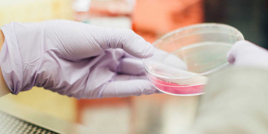 Cleaning product chemicals affecting your health