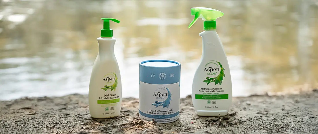 How to Eliminate Harmful Chemicals with Safe Cleaning Alternatives