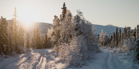 How to stay light in the dark winter months