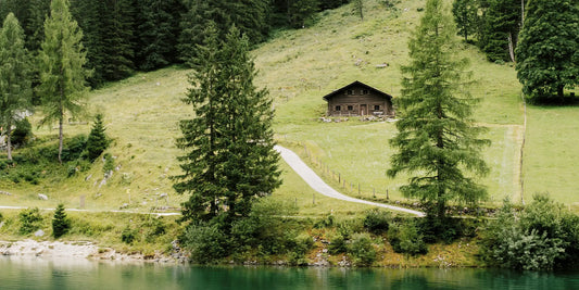 Septic safe products and the ones to avoid