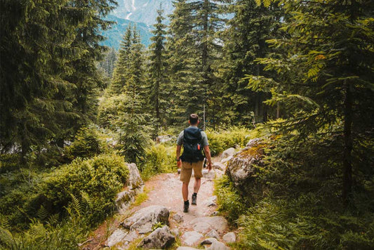 How To Live An Eco-Friendly Lifestyle