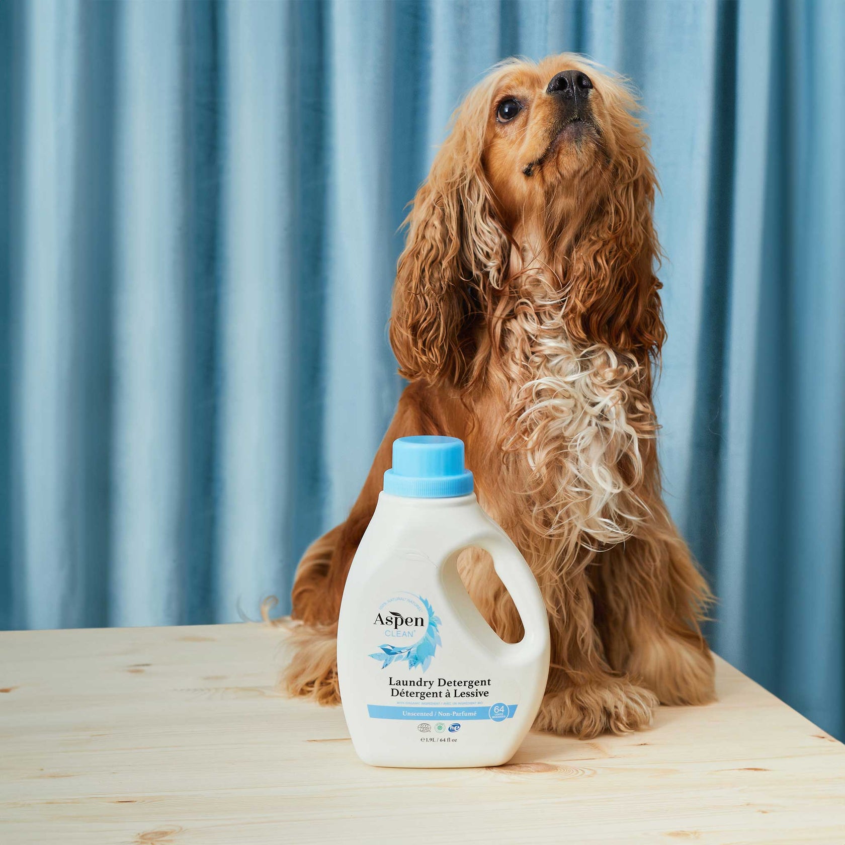 Best Unscented Laundry Detergent Natural AspenClean