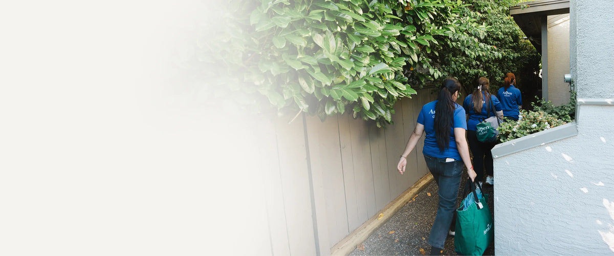 AspenClean Regular Cleaning Services