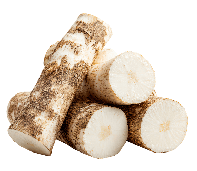 Where does Chicory Root come from