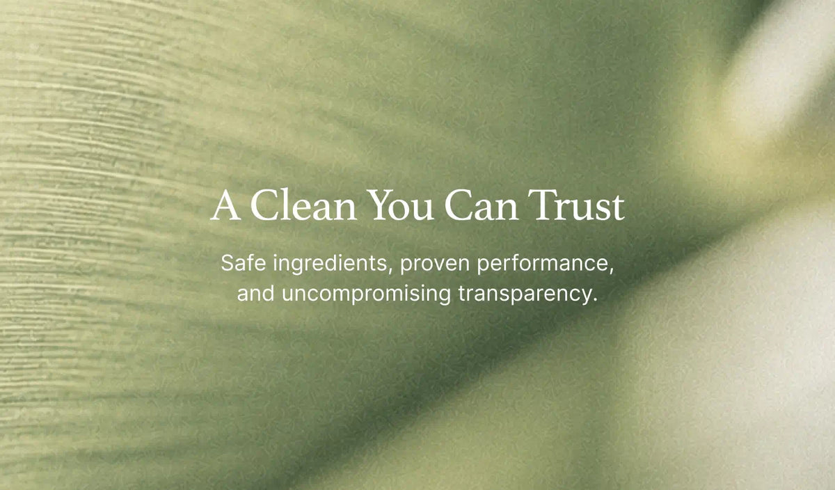 Environmentally Friendly Office Cleaning
