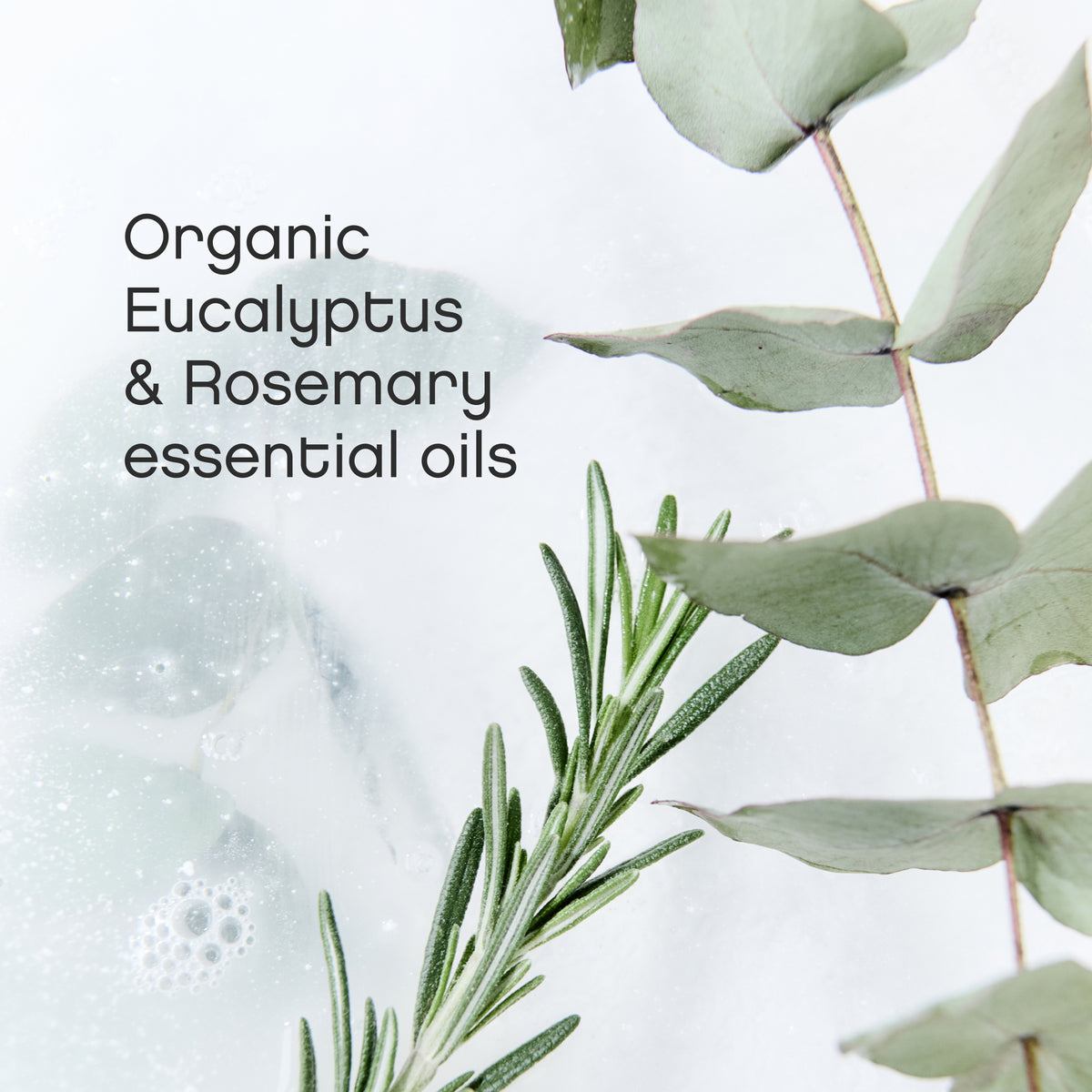 Aspen Clean Laundry Pods with Organic 
Eucalyptus & Rosemary essential oils
