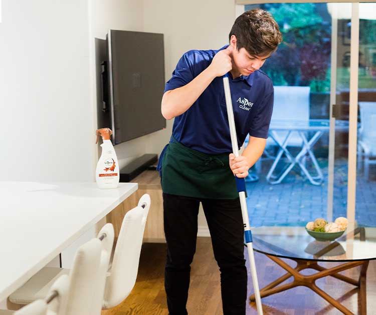 House cleaning