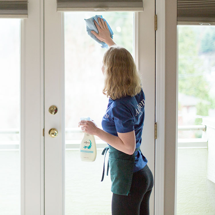 Best Maid and House Cleaning Services in Port Moody & Port Coquitlam