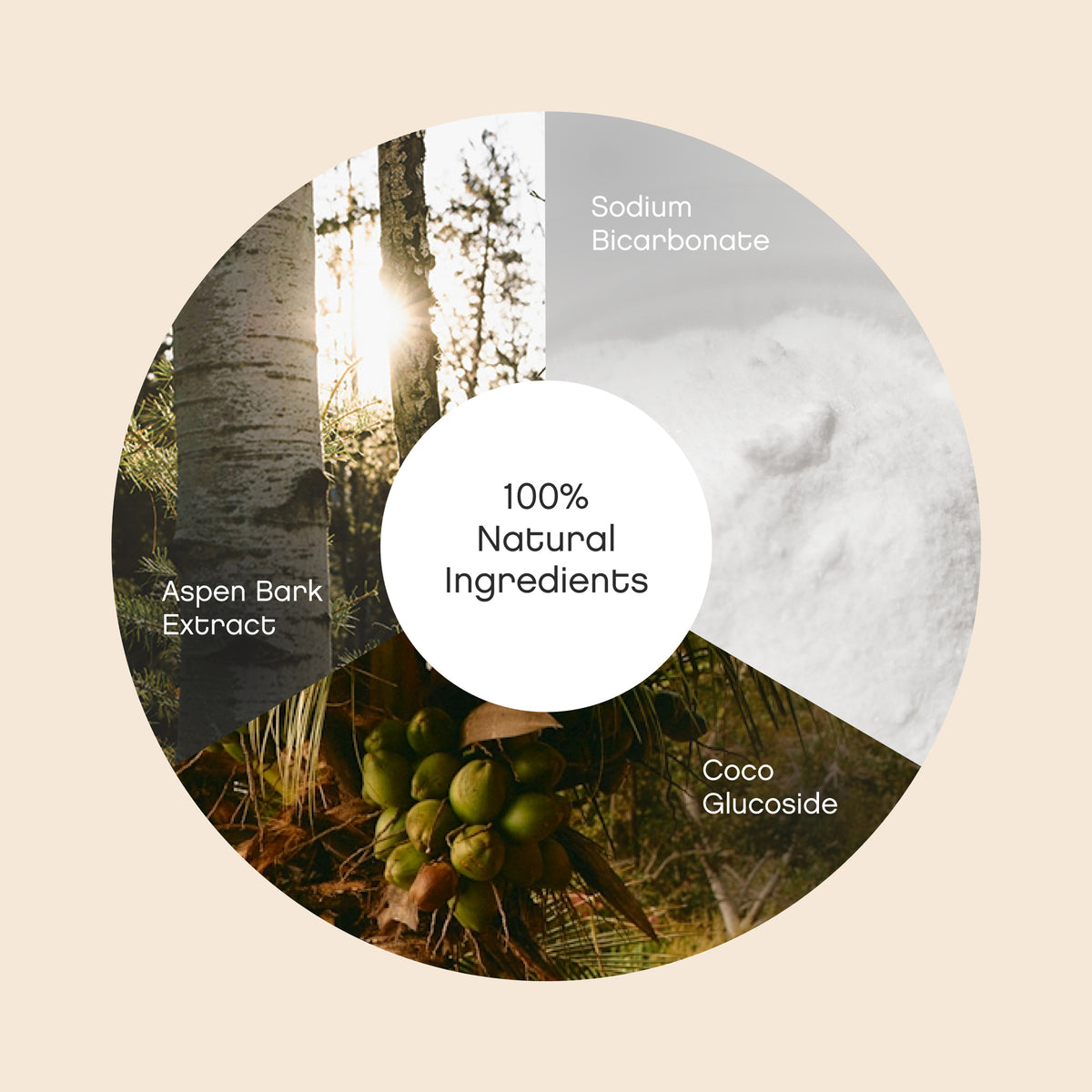 Laundry Detergent Eucalyptus & Rosemary 100% organic ingredients