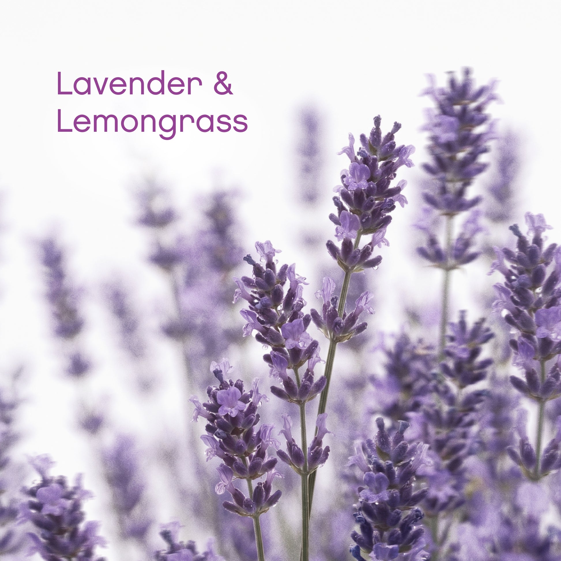 AspenClean Lavender Laundry Pods with organic essential oils