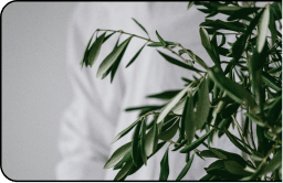 Neutralize odours without masking them