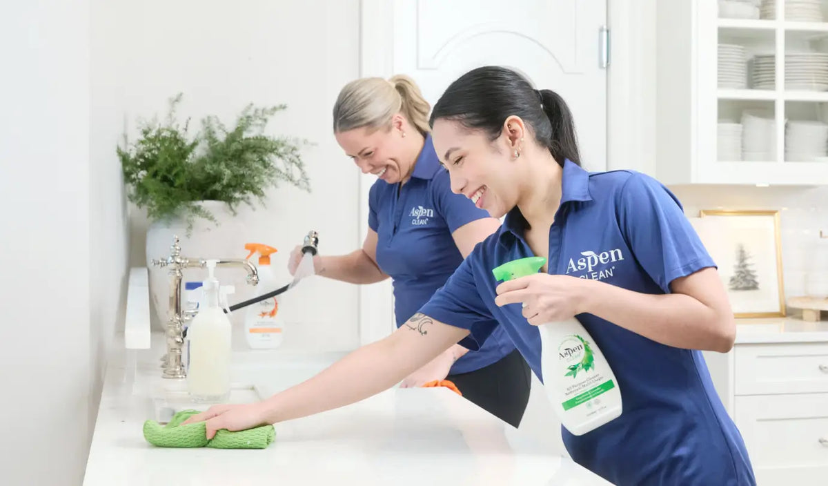 Professional Cleanings for Smaller Spaces