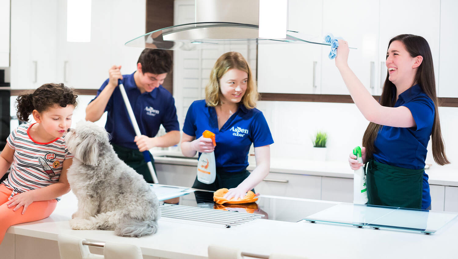 House Cleaning Services Vancouver AspenClean