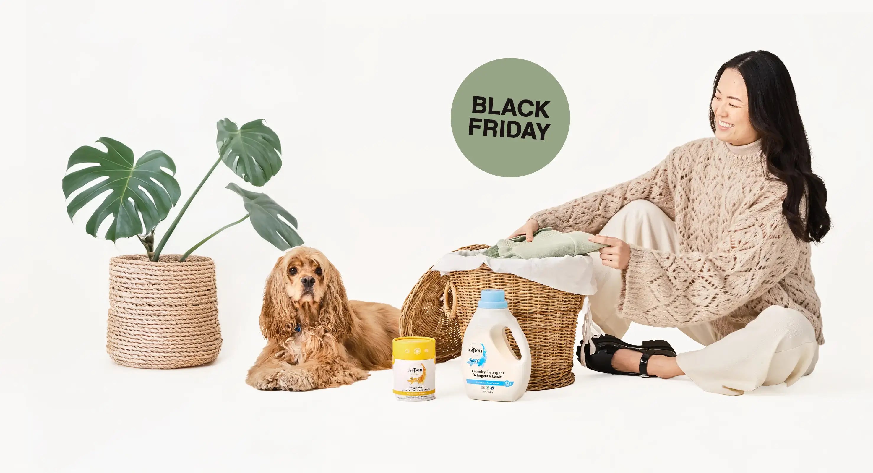 AspenClean Black Friday 2025