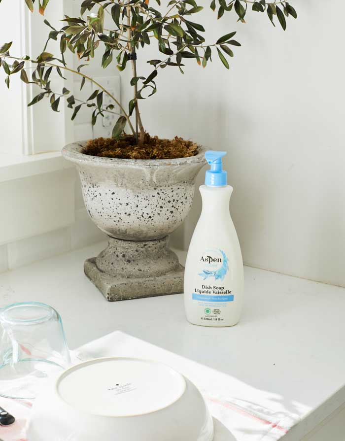Unscented Dish Soap with AspenClean