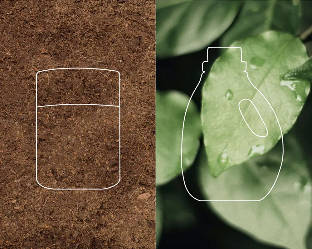 leaf and soil