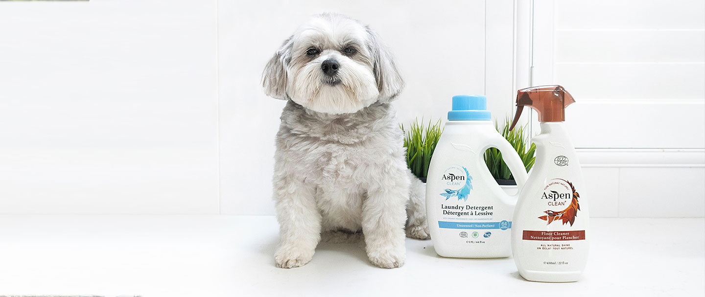 Load video: AspenClean eco-friendly, pet-safe cleaning products keep your house clean and your animals healthy!