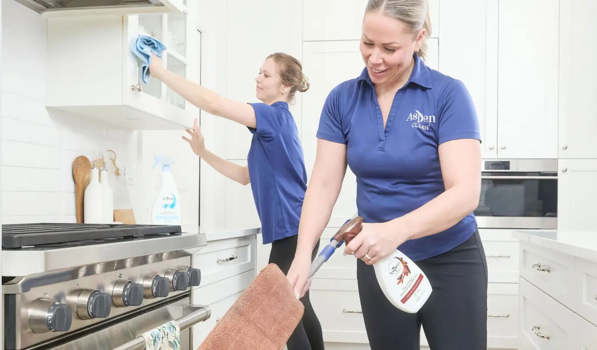 Regular cleaning Services