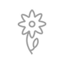 Spring Cleaning Services AspenClean
