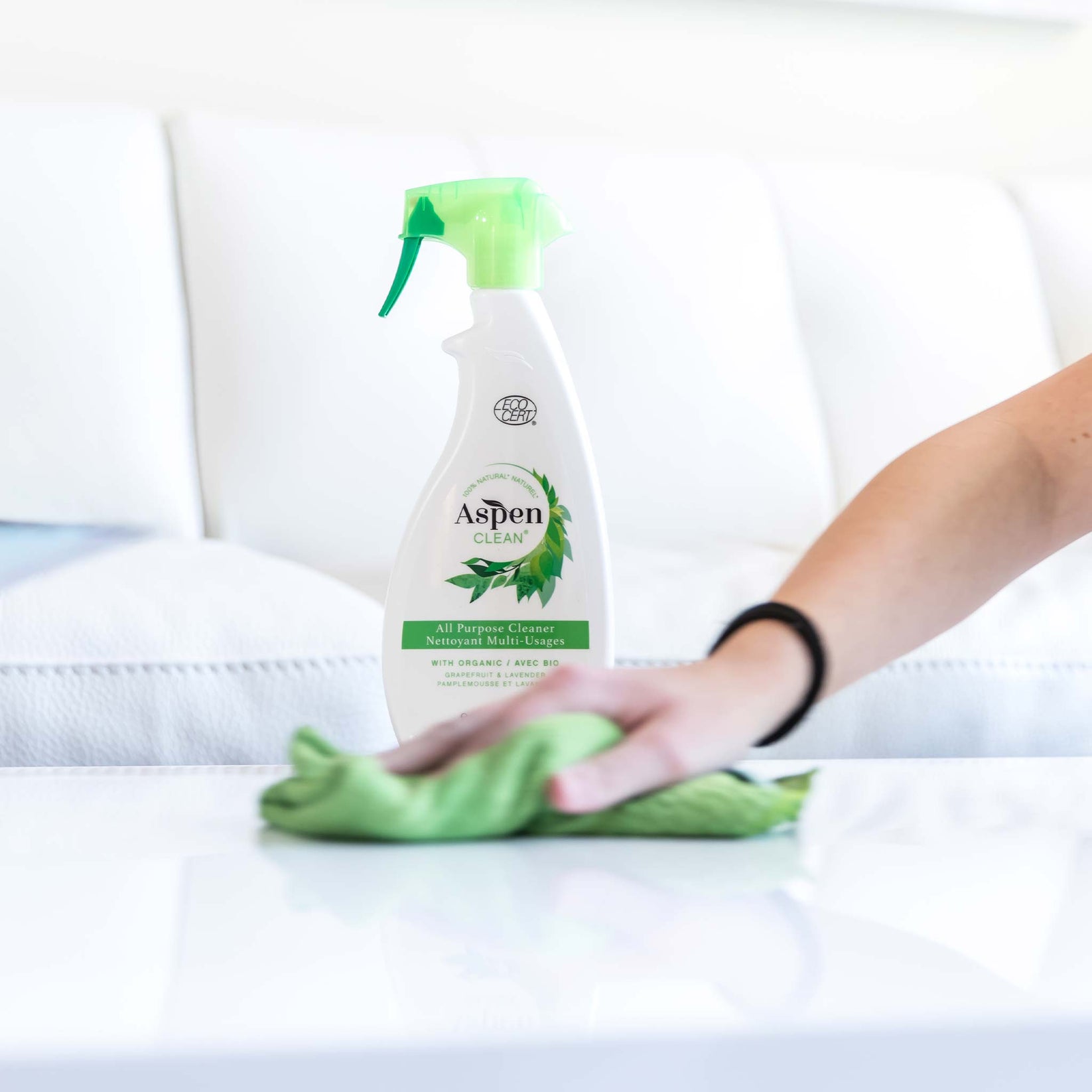 Eco All Purpose Cleaner Kit with Microfiber Cloth AspenClean