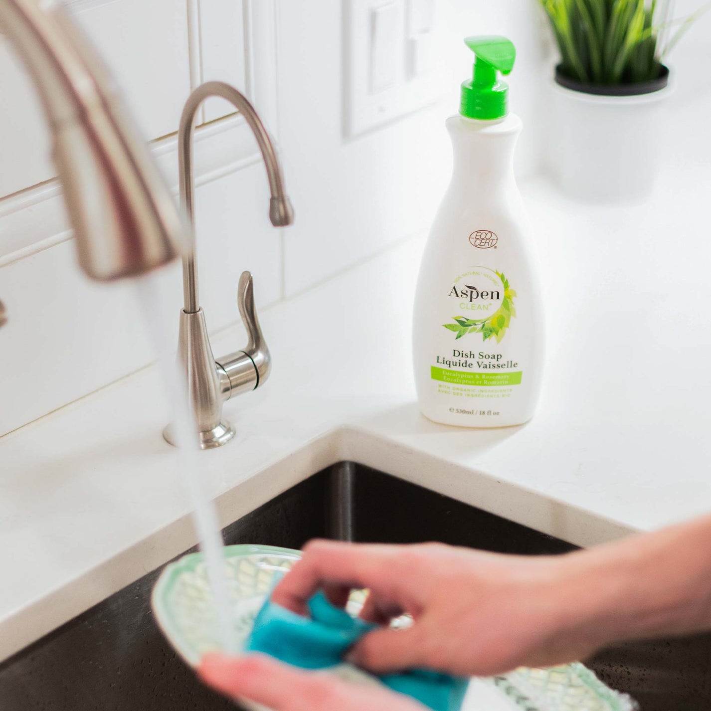 EcoFriendly Dish Soap Eucalyptus & Rosemary AspenClean